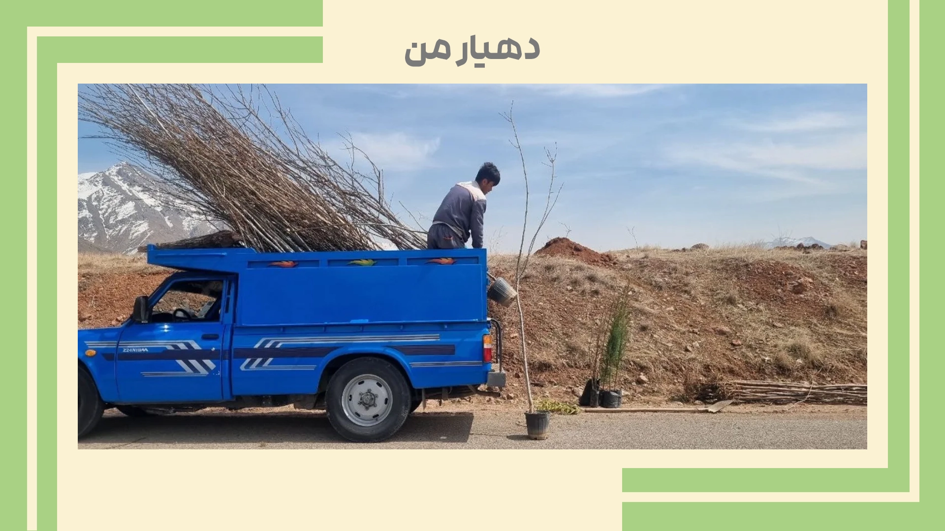 درختکاری در حاشیه جاده اصلی (  راحت آباد )